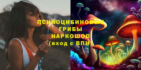 дживик Аркадак