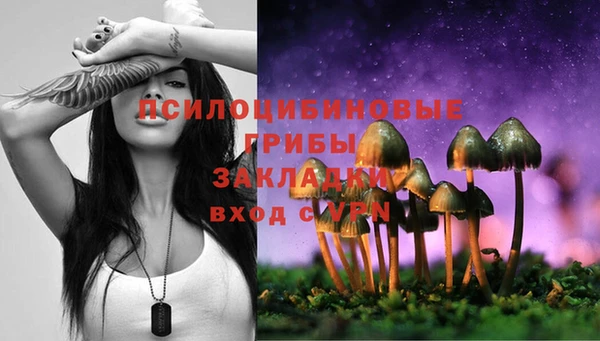 дживик Аркадак