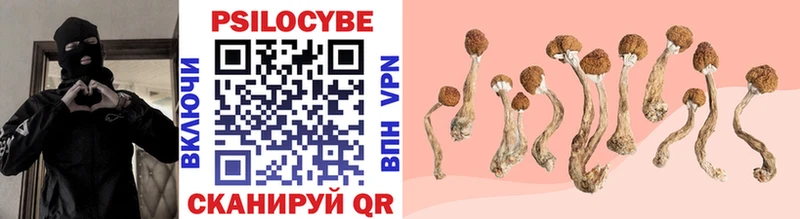Галлюциногенные грибы Magic Shrooms  Починок 